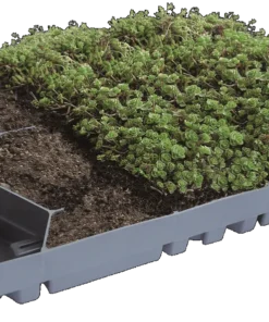 Dachbegrünung 1m² ECOSEDUM PACK